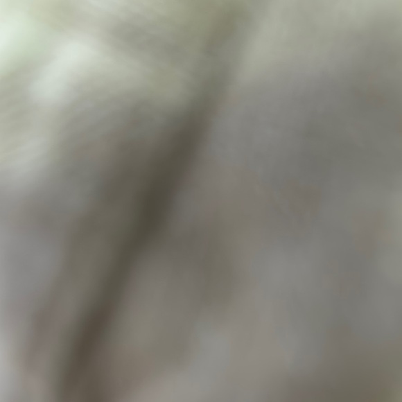 NWOT Tan Relaxed Shorts with Elastic Waist - Picture 2 of 6